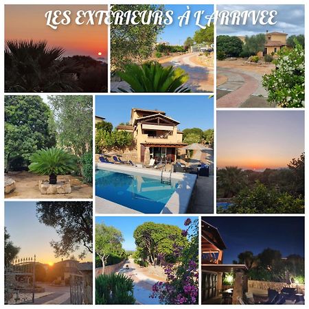 Villa Saba Όλμπια Εξωτερικό φωτογραφία