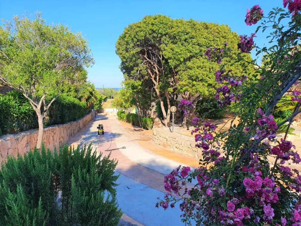 Villa Saba Όλμπια Εξωτερικό φωτογραφία