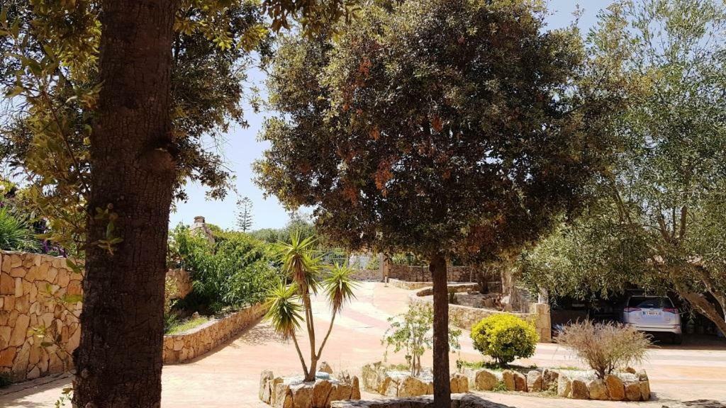 Villa Saba Όλμπια Εξωτερικό φωτογραφία