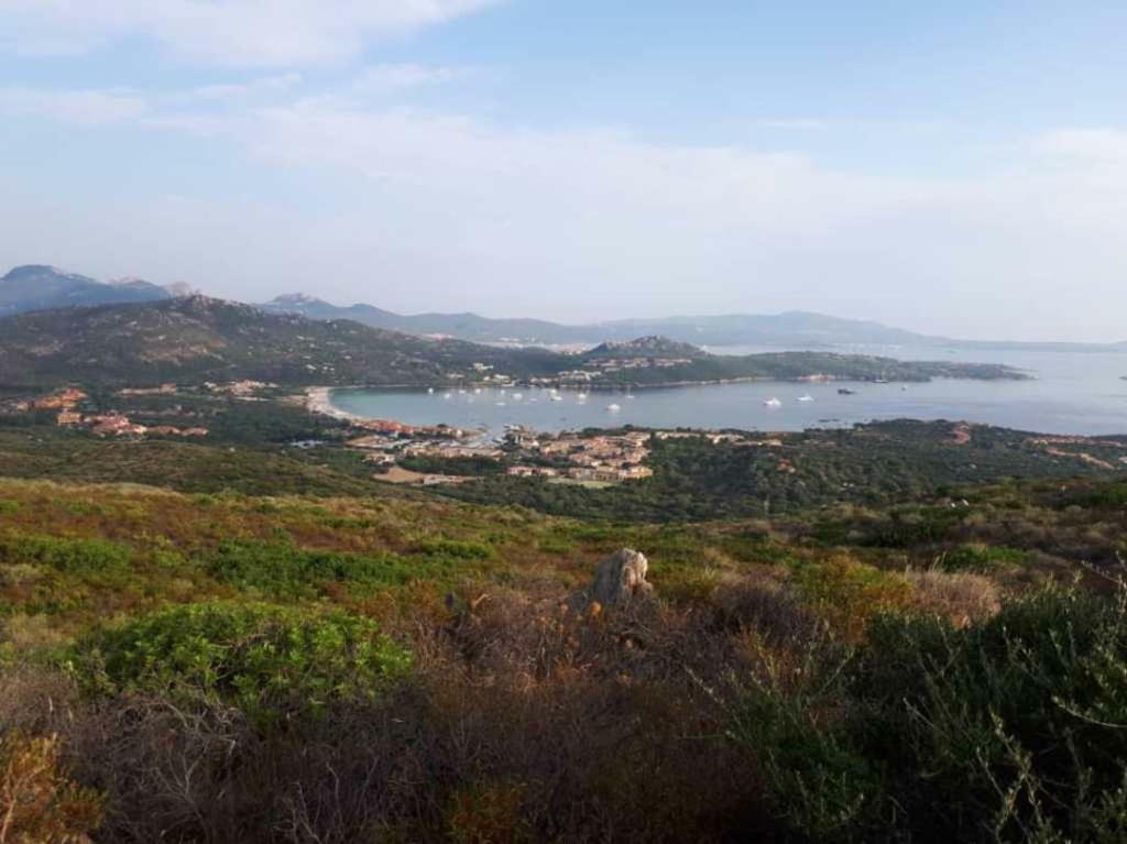 Villa Saba Όλμπια Εξωτερικό φωτογραφία
