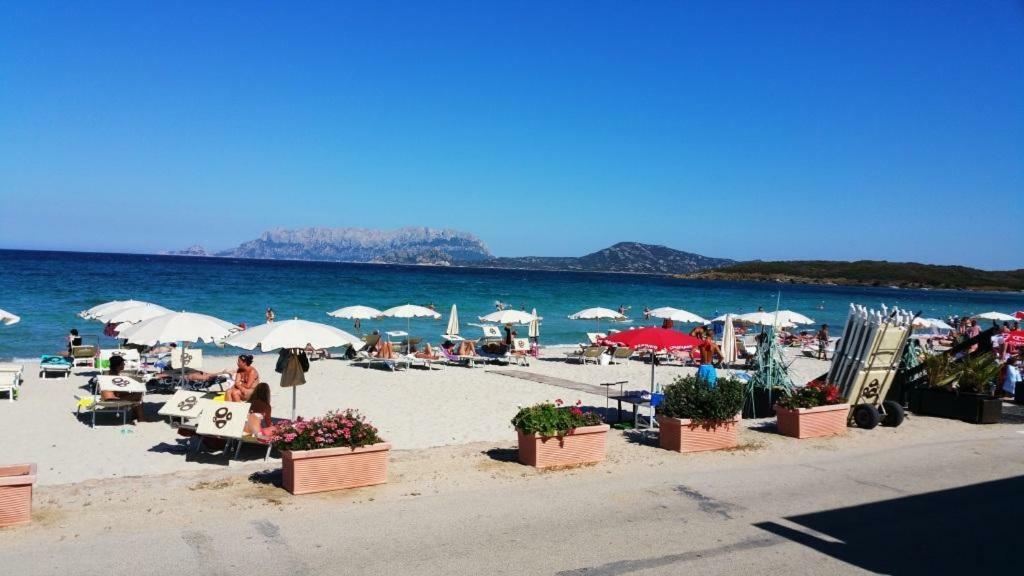 Villa Saba Όλμπια Εξωτερικό φωτογραφία