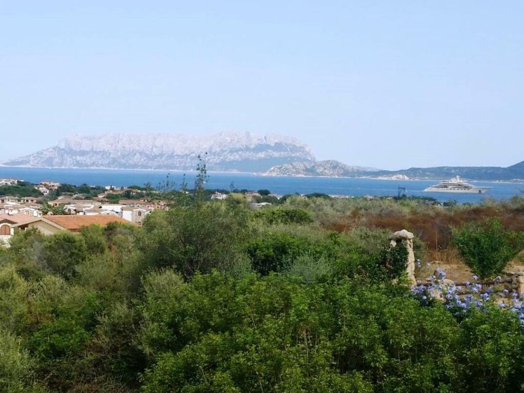 Villa Saba Όλμπια Εξωτερικό φωτογραφία