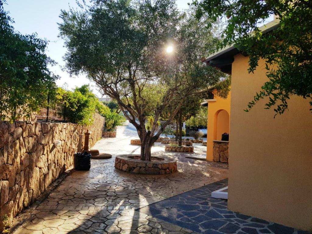 Villa Saba Όλμπια Εξωτερικό φωτογραφία