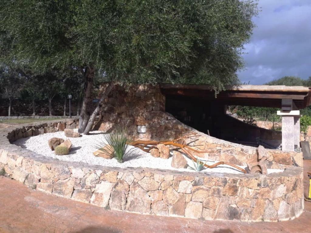Villa Saba Όλμπια Εξωτερικό φωτογραφία