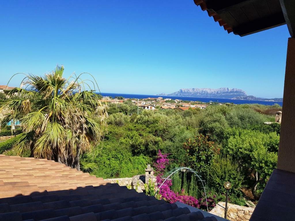 Villa Saba Όλμπια Εξωτερικό φωτογραφία