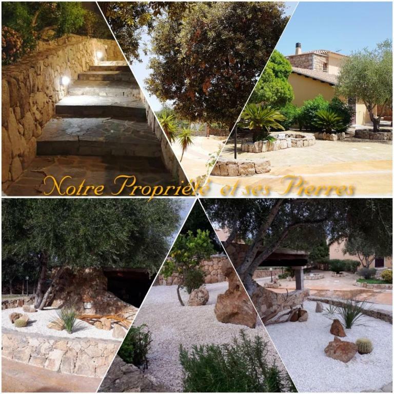 Villa Saba Όλμπια Εξωτερικό φωτογραφία