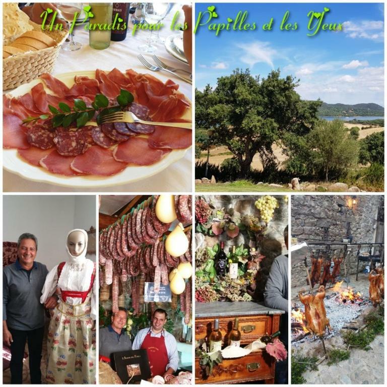 Villa Saba Όλμπια Εξωτερικό φωτογραφία